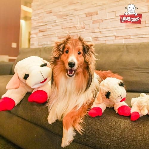 MULTIPET Officially Licensed Lamb Chop Plush Dog Toy, Jumbo, 24-Inch, White (48388) thumbnail 8