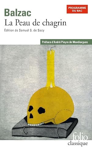 La peau de chagrin - Image 1