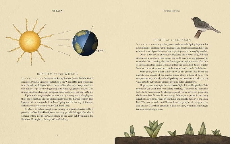 The Wheel of the Year: An Illustrated Guide to Nature's Rhythms thumbnail 5