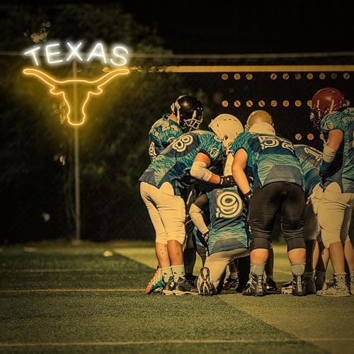 TEXAS Longhorn Neon Sign for Wall Decor -Adjustable Brightness LED Bull Neon Light Signs, Cow Neon Signs - USB Powered Hanging Neon Sign for Game Room, Man Cave, Bar thumbnail 2