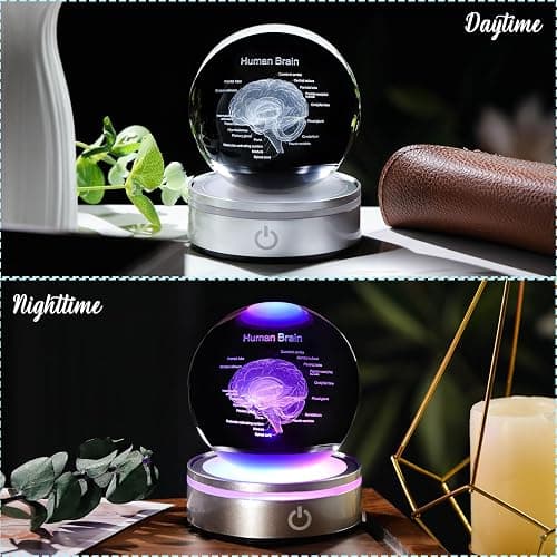 3D Human Brain 3.15 in. Crystal Ball Gifts for Him Her, Human Brain Anatomical Mini Model with Colorful Light Base for Neurologist Doctor Pharmacist, Physiology Graduation Gifts for Medical Students thumbnail 3