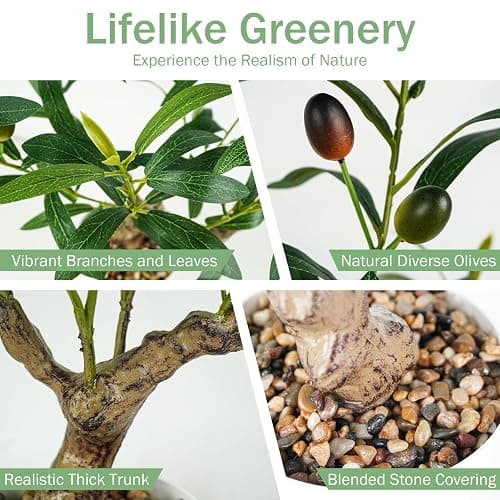 Caxchiling Artificial Olive Tree 2FT, Faux Potted Tree Indoor | Small Olive Tree with Lifelike Leaves and Fruits, Ideal for Tabletop, Desk, Shelf, Office, Kitchen and Living Room Decor thumbnail 4