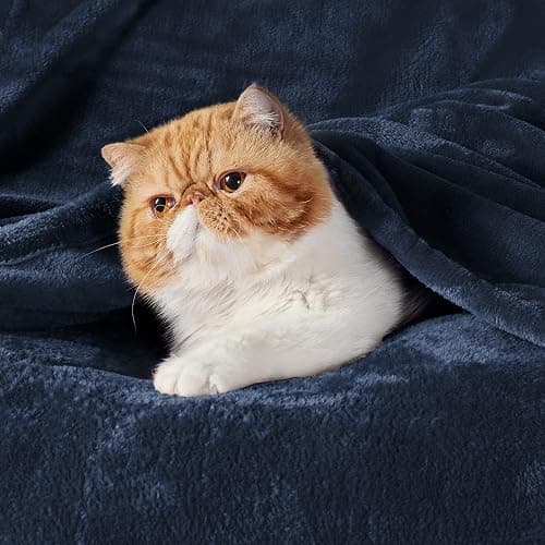 Bedsure GentleSoft Navy Blue Fleece Blankets King Size - Bed Blanket Soft Lightweight Plush Cozy Fuzzy Luxury Microfiber, 108x90 inches thumbnail 4