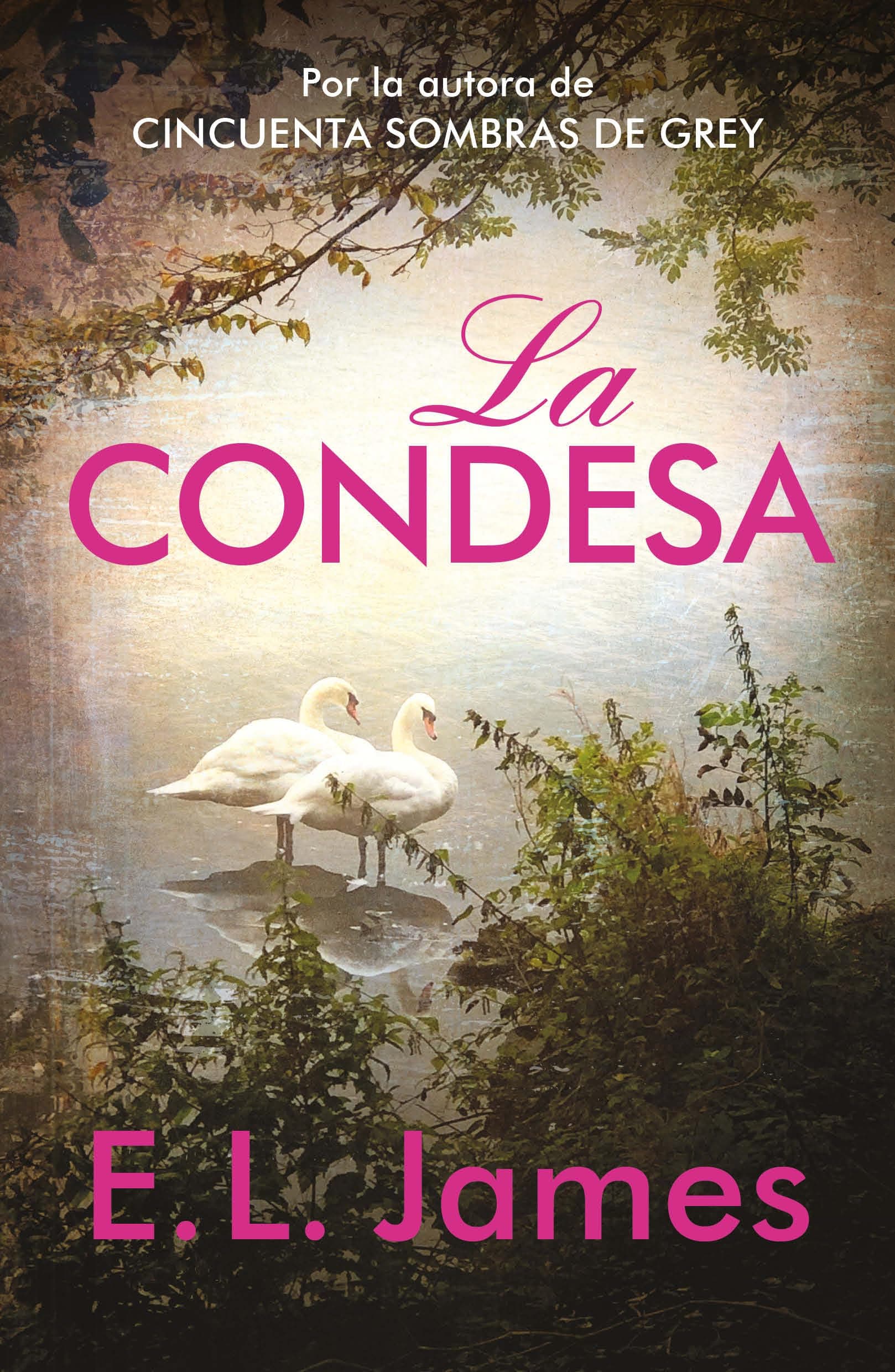 La condesa - Image 1