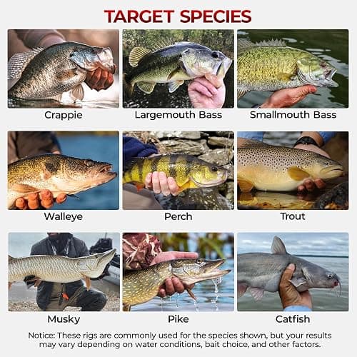 MadBite by KastKing 182/265/400pcs Compact Fishing Tackle Kit - All-in-One Freshwater Hooks, Weights, Bobbers in Tackle Box, Fishing Gear Set for Bass Trout Panfish thumbnail 7
