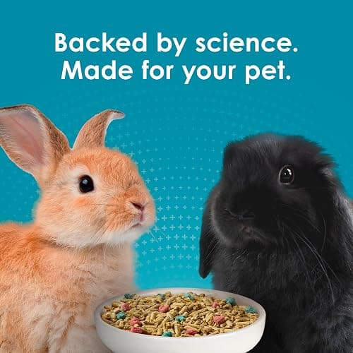 Kaytee Forti-Diet Pro Health Nourish+Protect Adult Rabbit Food, Comprehensive Nutrition Backed by Science, Digestive Health, Immune Support, 5 pounds thumbnail 11