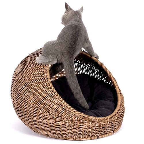 D+GARDEN Wicker Cat Bed Dome for Medium Indoor Cats - a Covered Cat Hideaway Hut of Faux Rattan Houses Pets in Dome Basket, Washable - Image 1