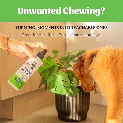Skout's Honor Super Sour! Anti Chew Spray - Natural Ultra Bitter Formula to Help Deter that unwanted Chewing, Licking, and Biting - Safe for Pets - Safe for Indoor and Outdoor Use, 8 oz thumbnail 5
