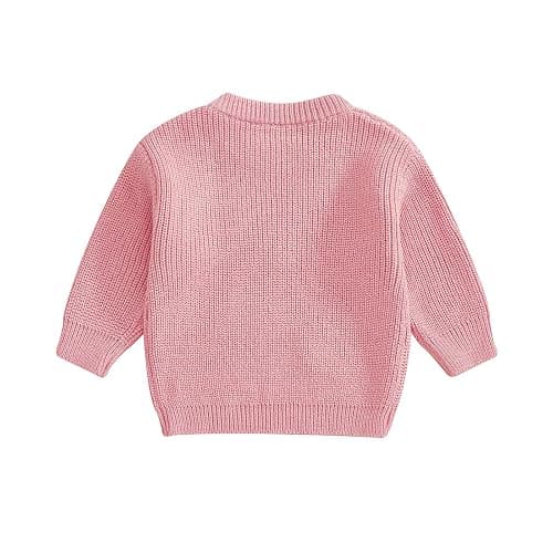 Toddler Girl Ladybug Sweaters Long Sleeve Embroidery Ladybird Jumpers Knit Pullover Tops Infant Baby Valentines Outfit thumbnail 4