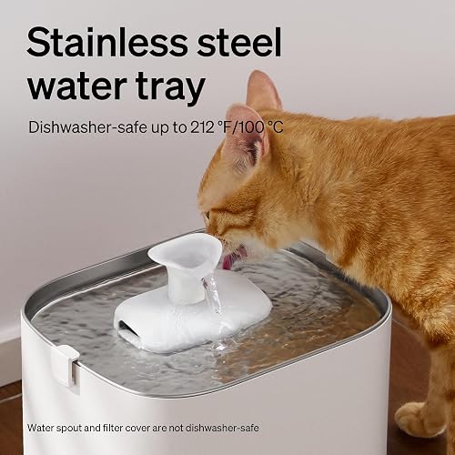 PETLIBRO Upgrade Cat Water Fountain, Dockstream 2 Smart App Monitoring Pet Water Fountain for Cats Indoor, 3L/101oz Cat Fountain Stainless Steel Tray for Drinking, 5G WiFi Auto Cat Water Dispenser Dog thumbnail 6