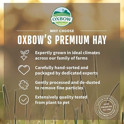 Oxbow Animal Health Western Timothy Hay - All Natural Hay for Rabbits, Guinea Pigs, Chinchillas, Hamsters & Gerbils - 15 oz. (Pack of 2) thumbnail 4