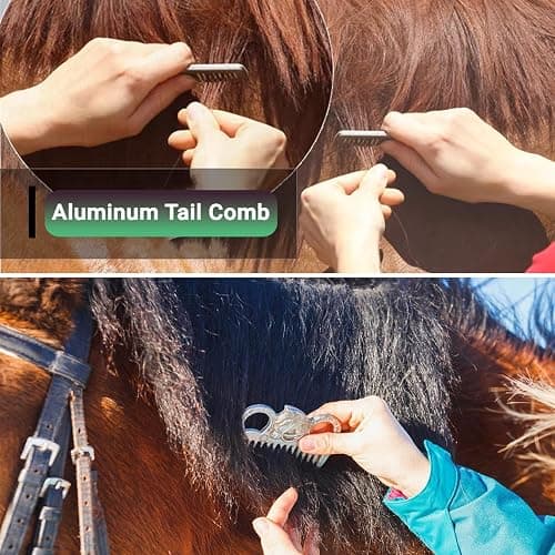 TERPUP Horse Grooming Kit 13 Piece, Horse Brushes for Grooming Supplies Set with Organizer Bag, Horse Brush & Curry Comb for Effective Cleaning, Gift for Horses Riders Beginners thumbnail 6