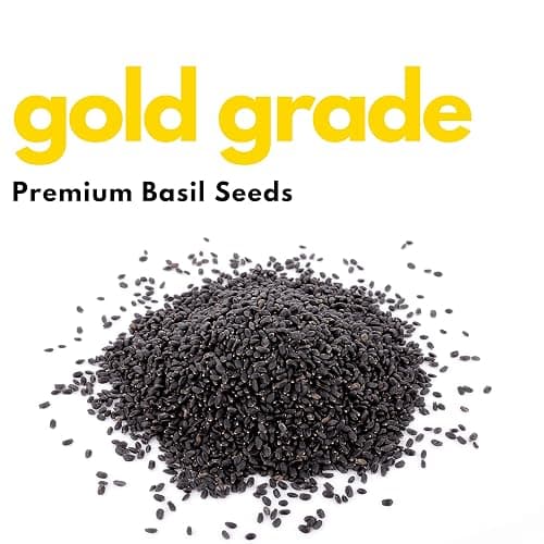 Basil Seeds 6g – 100% Natural and Easy-to-Grow Herb Seeds for Fresh Culinary Use and Home Gardening by ELO’S Garden thumbnail 3