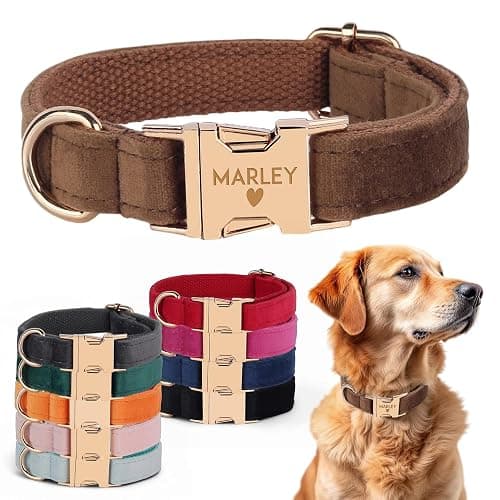 Velvet Harness Set, Gift for Pet Owners, Custom Dog Collar Personalized with Name and Phone Number, Custom Collar and Leash for Dogs, Engraved Metal Buckle Collar (X-Small) - Image 1