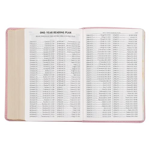 KJV Holy Bible, Compact Large Print Faux Leather Red Letter Edition Ribbon Marker, King James Version, Ballet Pink (KJV Compact LP Editions) thumbnail 9