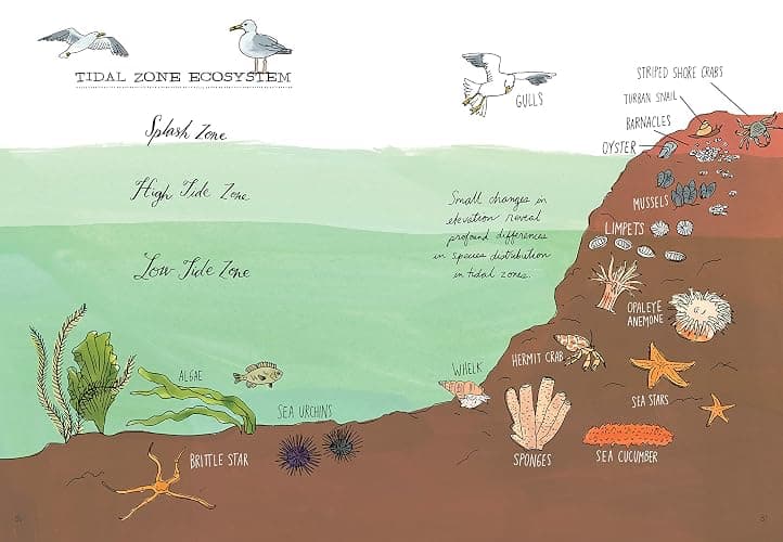 Ocean Anatomy: The Curious Parts & Pieces of the World under the Sea thumbnail 9