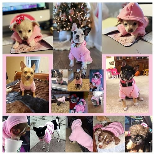 Jecikelon Winter Dog Hoodie Sweatshirts with Pockets Warm Dog Clothes for Small Dogs Chihuahua Coat Clothing Puppy Cat Custume (Pink, Medium) thumbnail 3