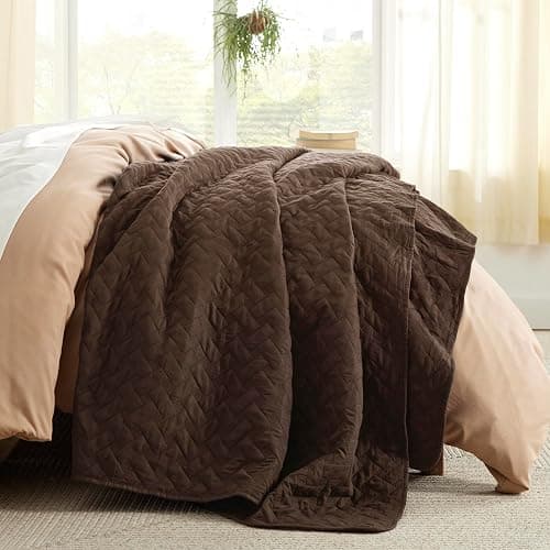 Bedsure Quilts Queen Size - Lightweight Bedspreads Queen Size with Basket Weave Pattern, Soft Quilt Bedding Set, Brown Comforter Set Coverlet for All Seasons with 2 Pillow Shams (90" x 96") thumbnail 3