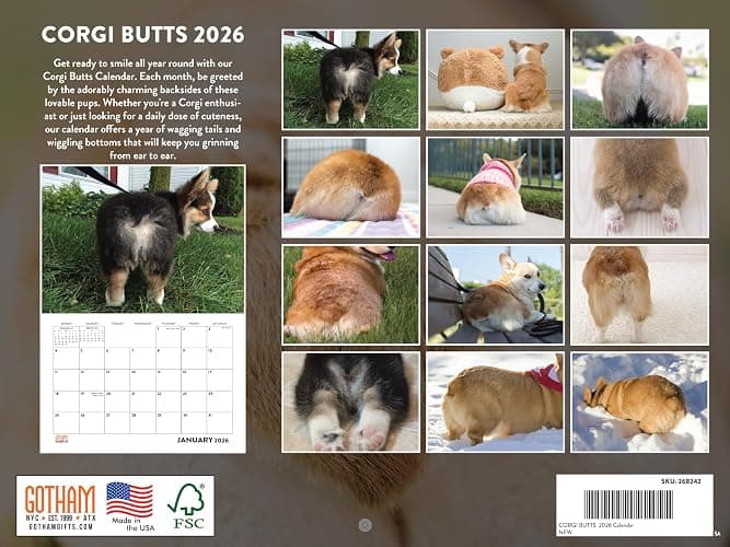 Corgi Butt Calendar 2026 Monthly Wall Calender 12 Month | American Made In The USA thumbnail 2