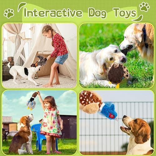 Calibonbon Dog Squeaky Toy Set – 4-Pack Durable Plush Duck, Pheasant, Goose for Small and Medium Dogs – Soft Bird Chew Toys with Crinkle Sound for Puppy Play, Interactive Training thumbnail 3