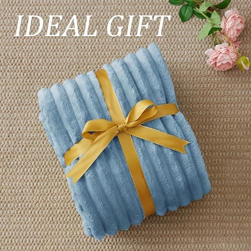 BEDELITE Fleece Throw Blanket for Couch - 300GSM Soft & Warm Fluffy Light Blue Blanket, Decorative and Giftable Striped Blankets for Women, Men, 50"x60" thumbnail 7