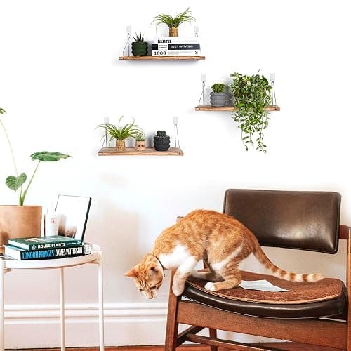 MITIME Floating Shelves Set of 3 Rustic Solid Wood Floating Shelf Wall Storage Shelves for Living Room, Bedroom, Bathroom, Kitchen Laundry, Office,no Drill Shelf(Light Color L+L+L) thumbnail 2