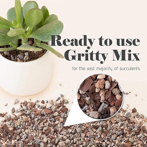 Bonsai Jack Succulent, Cactus and Bonsai Soil - Jacks Gritty Mix - 2 Gallons – Fast Draining – Fight Root Rot – Optimized pH thumbnail 4