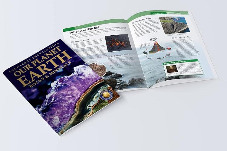 Our Planet Earth: Collection of 6 Books (Knowledge Encyclopedia For Children) thumbnail 11