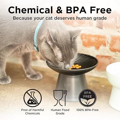 Necoichi BPA-Free Extra-Wide Elevated Cat Food Bowls, 2-Pack (Urban Fog) thumbnail 6