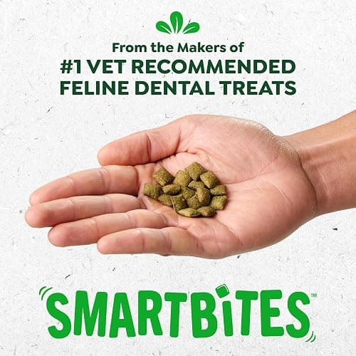 Greenies Feline Smartbites Healthy Kitten Treats for Indoor Kittens, Crunchy and Soft Natural Cat Treats, Chicken Flavor, 16 oz. Tub thumbnail 3