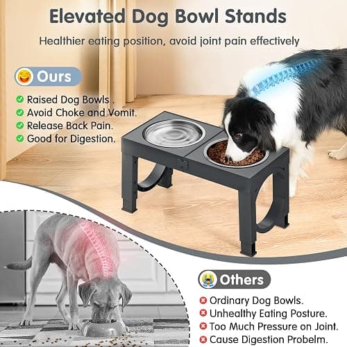 XIAZ Elevated Dog Bowls Large Breed Raised Dogs Bowl Stand Large/Medium Sized Dog Stainless Steel Food Water Bowl Stands 5 Heights Adjustable 9/11/12/14in Pet Feeder Dish Station thumbnail 4