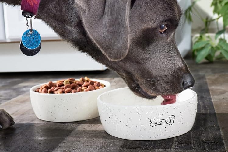 Pearhead Ceramic Dog Bowl – “Woof” Speckled Pet Food & Water Dish, Durable Stoneware, Non-Slip Heavy Base, 20 oz, Medium thumbnail 6