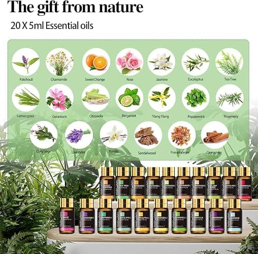 MAYJAM Tea Tree 20 Pcs Pure Essential Oil Gift Set, for Diffuser, Humidifiers, Skin Care, Massage, Fragrance Oil Scent for DIY Candle and Soap Making, Gift for Friend (5ML) thumbnail 2