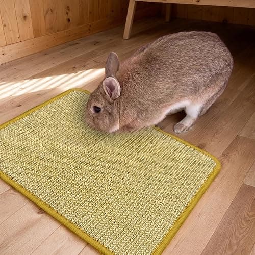 DYAUS Bunny Scratch Pads, Natural Sisal Rabbit Scratching Mats for Claws and Teeth Care, Indoor Bunny Chew Toys Bunny Bed for Biting Sleeping Nesting (3PCS, 16x12in) thumbnail 6