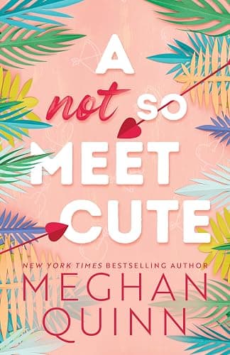 A Not So Meet Cute (Cane Brothers, 1) - Image 1