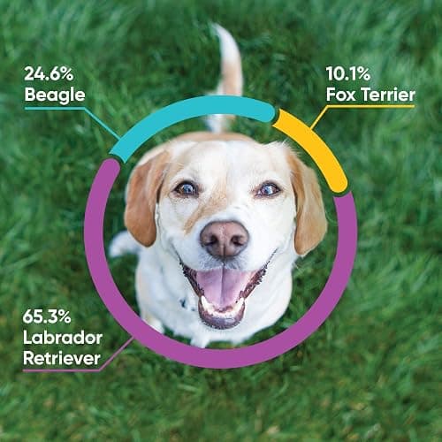 Embark Breed & Health Kit (2 Pack) - Dog DNA Test - Discover Breed, Ancestry, Relative Finder, Genetic Health, Traits, COI thumbnail 2