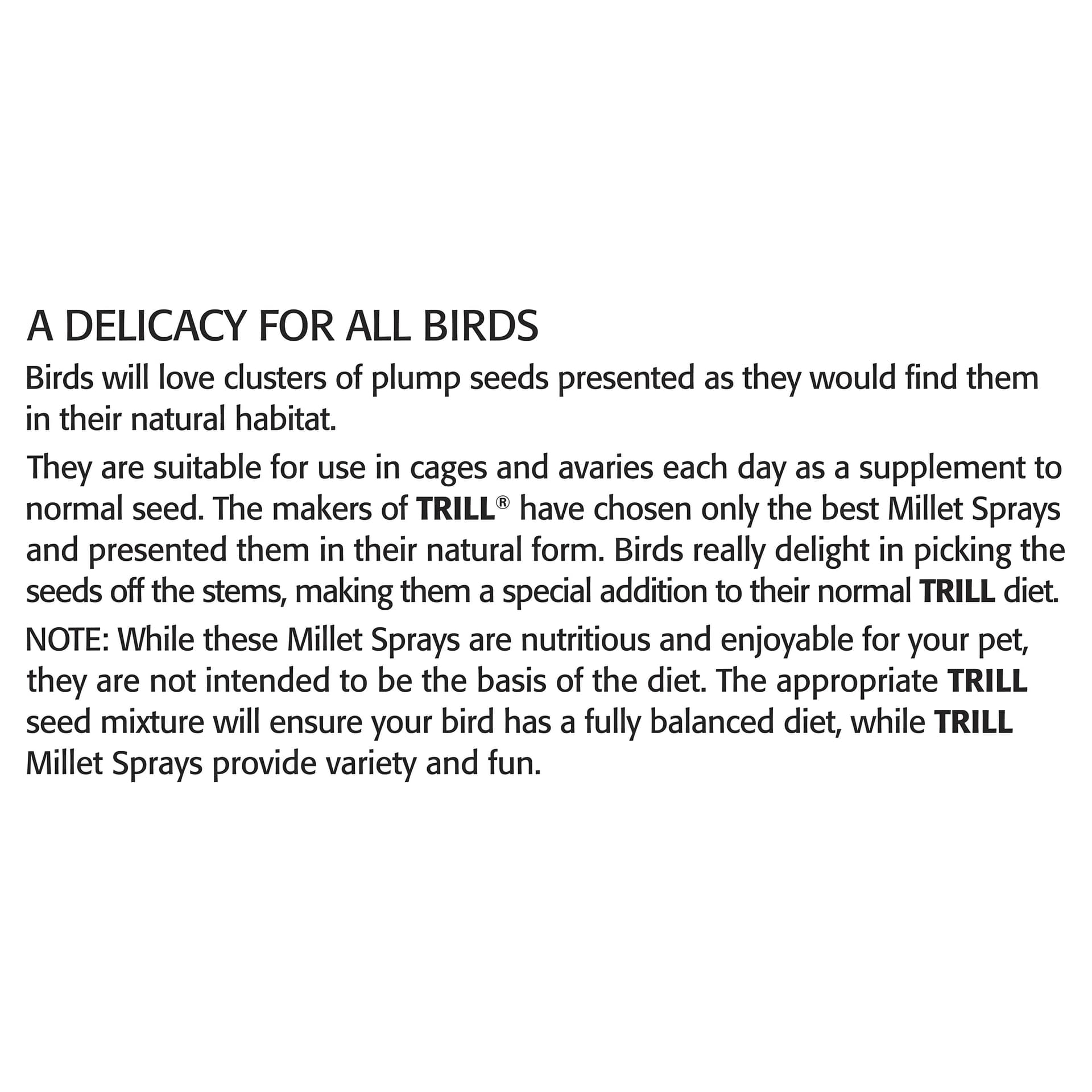 Trill Millet Spray for Birds, 150g – Bird Treat for Pet Birds – Nibbling Exercise to Help Reduce Stress and Anxiety - Bird Food Suitable for Budgies, Canaries, Parrots thumbnail 8
