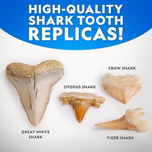 National Geographic Shark Tooth Dig Kit – Excavate Replica Teeth Fossils from Ancient Sharks and Make a Shark-Tooth Necklace, STEM Science Kit for Kids Ages 6-8, Educational Fossil Dig Activity thumbnail 4