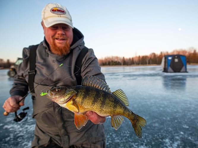 Northland Tackle Rigged Tungsten Pin Fry Ice Fishing Jig with Minnow Fry Body, 2 Pre-Rigged Jig Heads & 3 Extra Ice Fishing Plastics, Tungsten Jig Heads for Panfish, 1/16 Oz, Woodtick thumbnail 2