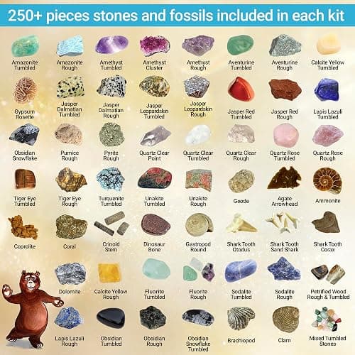 DANCING BEAR Rock, Mineral & Geodes Treasure Hunt Activity Kit (250 Pc Set) Real Shark Teeth Fossils, ID Sheet & Rock Book, STEM thumbnail 2