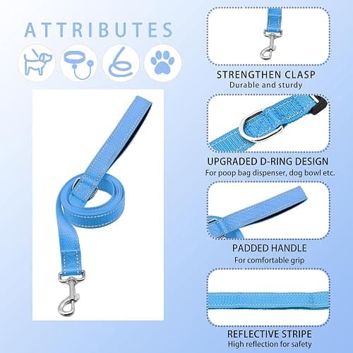Maiiu Reflective Dog Collar with Safety Locking Buckle (Collar+Leash) | Adjustable Soft Breathable Nylon Collars for Small, Medium and Large Dogs (S Width 5/8" Sky Blue) thumbnail 3