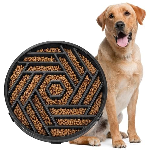 WHIPPY Slow Feeder Dog Bowl, Puzzle Maze Design to Slow Down Eating, 3-Cup Capacity, Anti-Gulping Food Bowl for Medium & Large Dogs,Black - Image 1