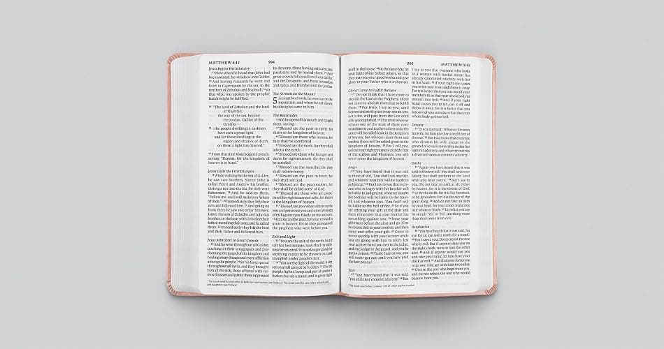 ESV Large Print Value Thinline Bible (TruTone, Pink, Fleur-de-lis Design): Holy Bible, English Standard Version thumbnail 4