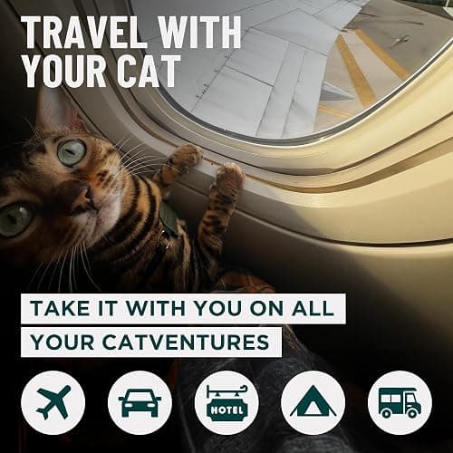 OutdoorBengal Portable Travel Litter Bag, No Mess, Small & Collapsible Bag to Carry Litter, Leak Proof Kit for Cat Litter, Essentials for Traveling with Cats, Travel Litter Box for Car, Plane with Cat thumbnail 2