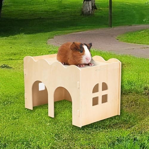 Bifeaw Natural Wooden Chew-Proof Guinea Pig Hideout | for Small Pets thumbnail 4