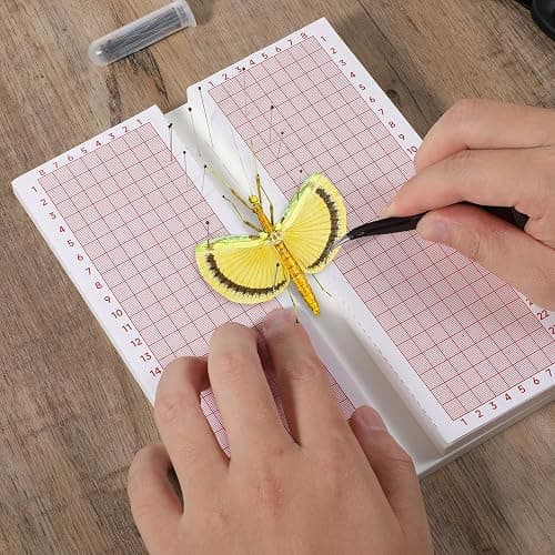 Butterfly Pinning Board Insect Pinning Board Butterfly Spreading Boards Foam Boards for Pinnings Insects Dual-Sided Bug Pin Trapping Boardes with Wings, EVA Foam thumbnail 6