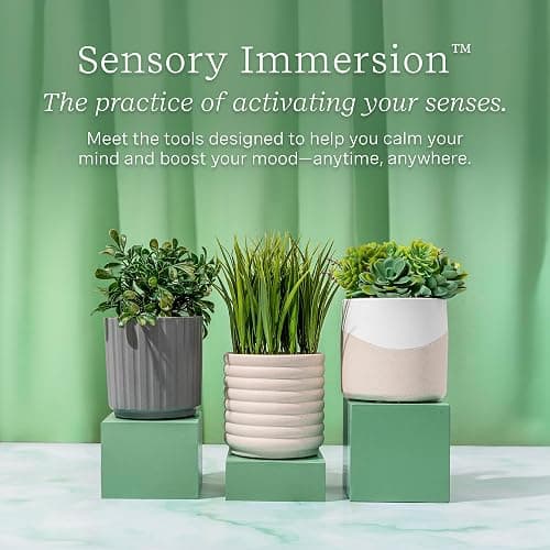 Lifelines Plant Diffuser with Modern Planter, Boxwood - Rechargeable Aromatherapy Diffuser, Artificial Faux Plants Home & Office - ClickWick Essential Oil Blend Included thumbnail 6