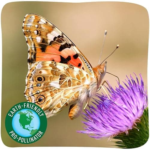 Insect Lore Raise and Release Butterfly Garden Kit – Caterpillar Habitat with redeemable Voucher – STEM-accredited Butterfly Growing Kit for Kids, Classrooms, and Homeschool Learning thumbnail 12
