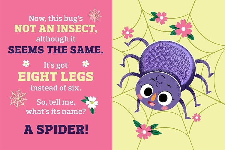 Backyard Bugs - Touch and Feel Board Book - Sensory Board Book (Touch & Feel Sensory Board Books for Baby & Toddler Time) thumbnail 4