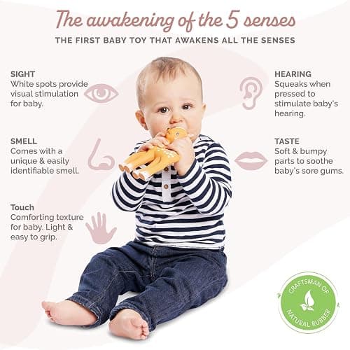 Sophie la girafe Fanfan The Fawn | Teether Friend to Sophie la girafe | Natural Rubber | Designed for Teething Babies | Awaken All 5 Senses | Easy to Clean thumbnail 2